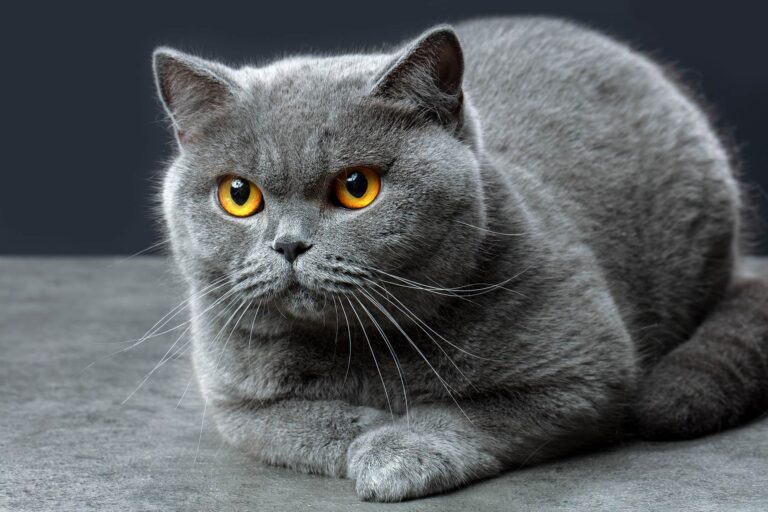 SEO w 2026: co się zmieniło i jak się przygotować